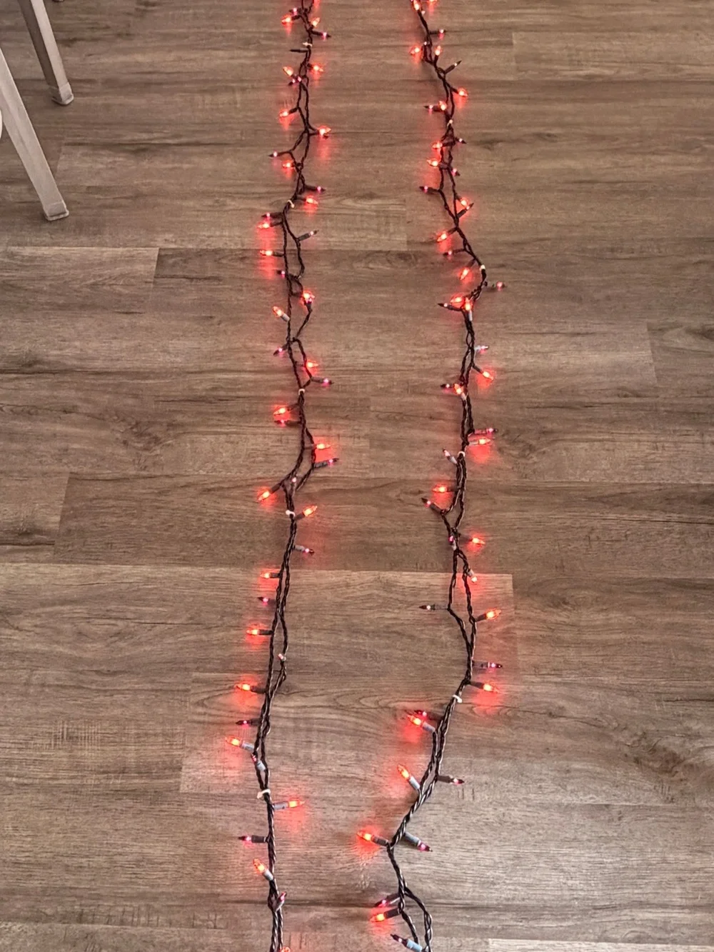 Orange (2) & Purple (2) Holiday String Lights -  25’ each
